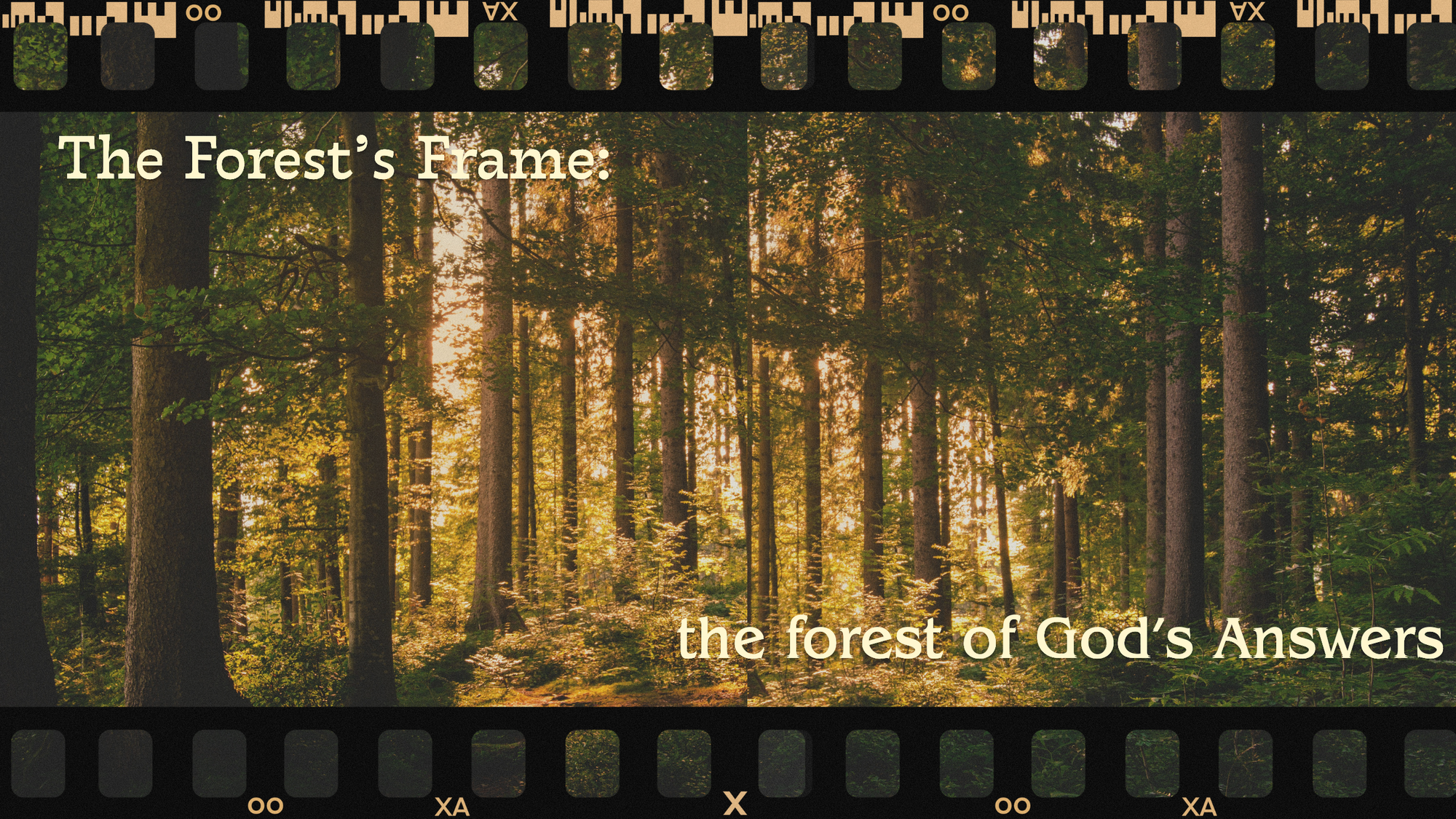 The Forest of God's Answers